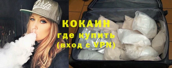 ГАЛЛЮЦИНОГЕННЫЕ ГРИБЫ Сатка