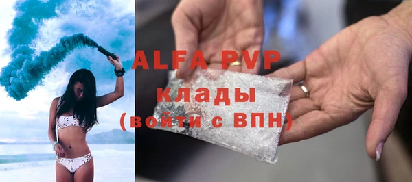 гашик Богданович