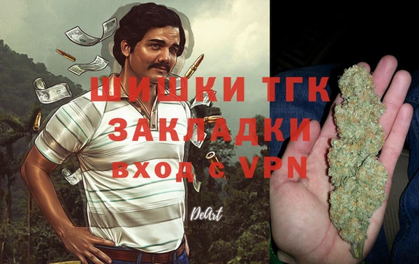 гашик Богданович