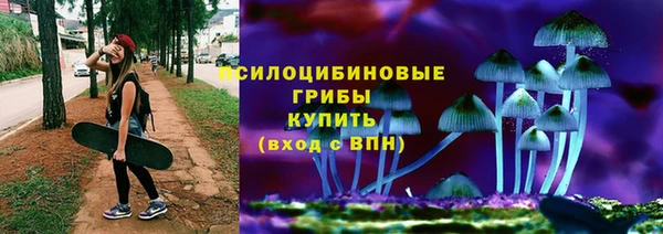 гашик Богданович