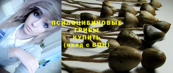 стаф Ростов