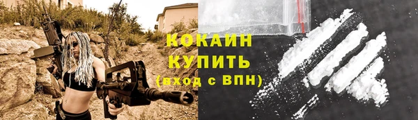 гашик Богданович