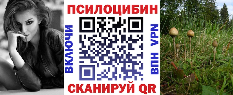 Галлюциногенные грибы MAGIC MUSHROOMS  сколько стоит  Высоцк 